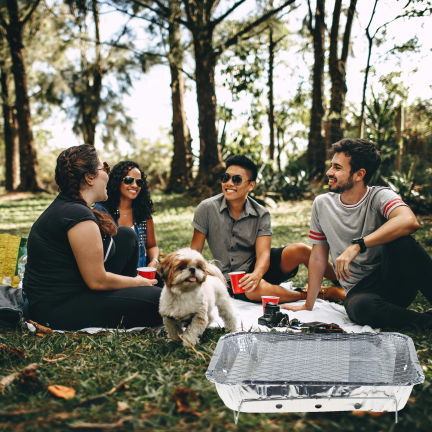 TG77664 Einweggrill, Reisegrill, Anzündplatte, Kleingartengrill, BBQ-Picknick