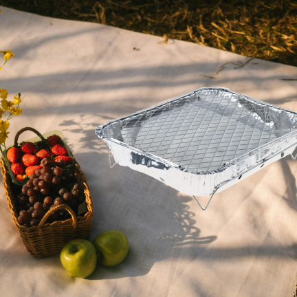 TG77664 Einweggrill, Reisegrill, Anzündplatte, Kleingartengrill, BBQ-Picknick