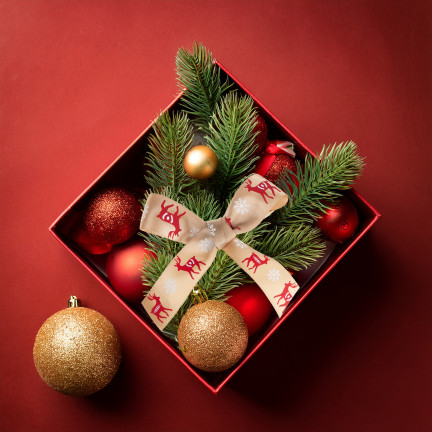 TG78795-1 BAND SCHLEIFE GESCHENKVERPACKUNGEN