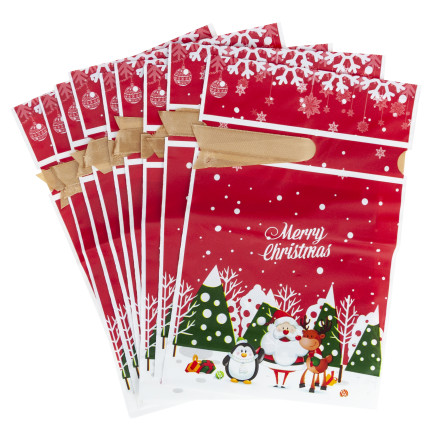 TG80077 GESCHENK TASCHEN WEIHNACHTEN SÜSSIGKEITEN 10PCS