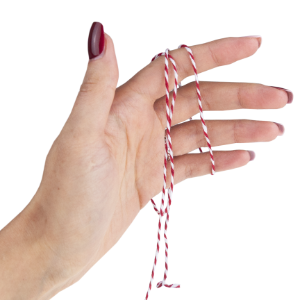 TG80079 Zierkordel zum Verpacken von Geschenken, Band, Schleife