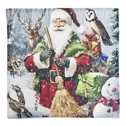 TG80101 – Set mit 4 Weihnachtskissenbezügen, dekorative Kissen für Weihnachten
