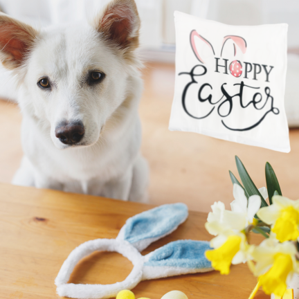TG81305-KPL OSTERN SAMT KISSENBEZÜGE 45X45 CM 4 STÜCK DEKORATIVE HASEN