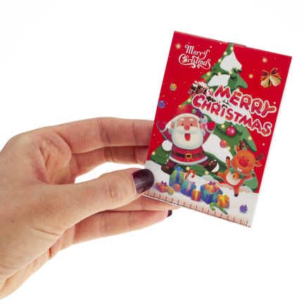 TG81339 BLEISTIFTSET NOTIZBUCH LINEAL RADIERGUMMI WEIHNACHTSWUNDER