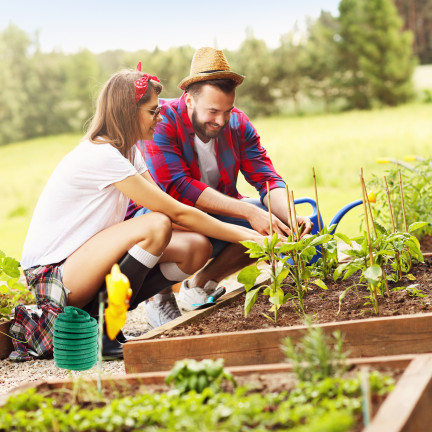 Schaumstoffbeschichteter Draht, für den Garten, für Blumen und Pflanzen, 5 m