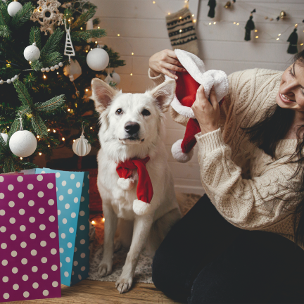 TG84244 Geschenktüten, 10 Stück, mit Weihnachtsaufklebern