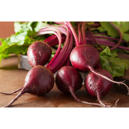T8001 ROTE BETE AUF BAND ROTE KUGEL SAATBAND ROTE BETE SAMEN 6M