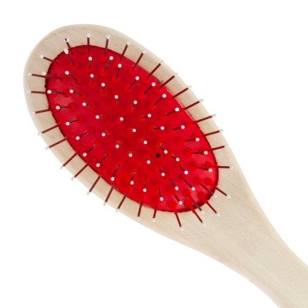 TM-00428 DOG CAT DUAL-SIDED BRUSH zum Kämmen der Haare