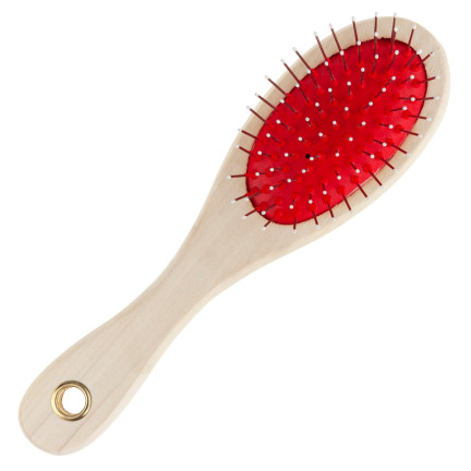 TM-00428 DOG CAT DUAL-SIDED BRUSH zum Kämmen der Haare