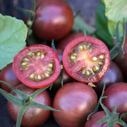 W9558 SCHWARZE KIRSCHTOMATEN HOCHGEMAHLEN 0,3G SAMEN TOMATEN