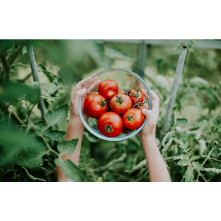 Organischer Dünger für Tomaten und Gemüse, Sumin Organic, 1 kg, BIO-Granulat