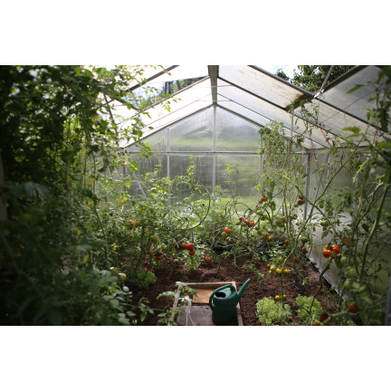 Organischer Dünger für Tomaten, BIO-Granulat, natürlich, Biovita 3 kg
