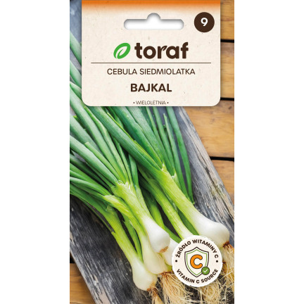 W1022 Siebenjährige Baikal-Zwiebel, schmackhafter, aromatischer Schnittlauch (Allium fistulosum L.), 3 g