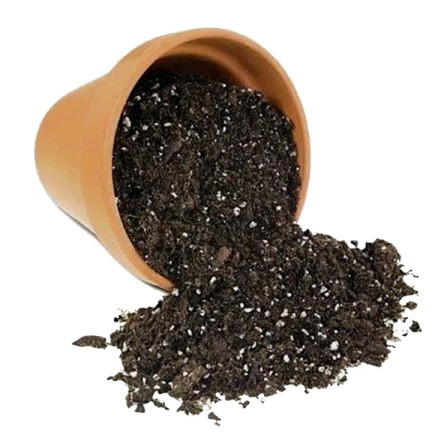 BIO26 EARTH BIGOS 8L Lichtsubstrat für Zimmerpflanzen im Topf