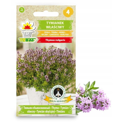 Z3035 THYMIAN ECHTES KRAUT SAMEN GEWÜRZT AROMATISCH 0,3G