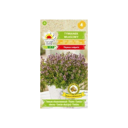 Z3035 THYMIAN ECHTES KRAUT SAMEN GEWÜRZT AROMATISCH 0,3G