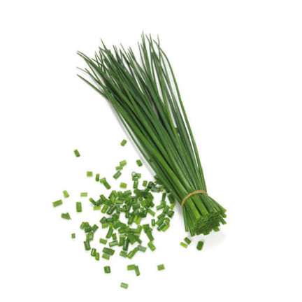 W0784 SCHNITTLAUCH BOHEMIA 2G SCHNITTLAUCHSAMEN SCHNELLWACHSEND MEHRJÄHRIG