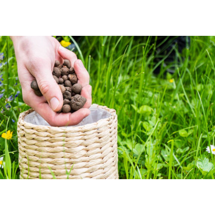 BIO13 FEINER BLÄHTON 5L 4-8MM GARTENBAU NATÜRLICHE DRAINAGE FÜR TÖPFE