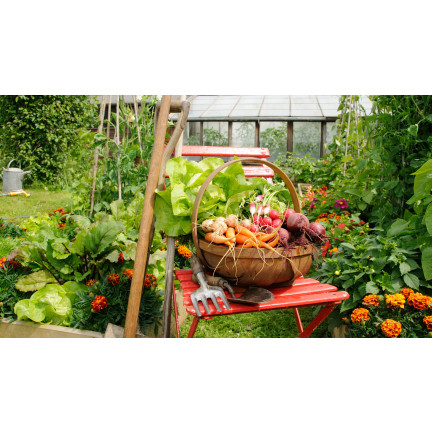 Organischer Dünger für Gemüse und Tomaten, natürlich, BIO, Granulat, Biovita 3 kg
