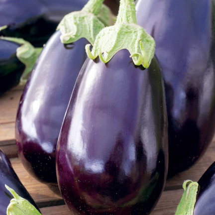 W1003 AUBERGINE SAMEN SCHWARZE SCHÖNHEIT LILA BIRNE DER LIEBE 1G