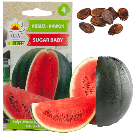 W1001 WASSERMELONE SAMEN ZUCKER BABY CAVON SÜSS SAFTIGES FRUCHTFLEISCH FÜR DEN ANBAU 1G