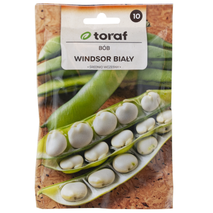 W1006 SEEDS WINDSOR WHITE BROAD BEAN MEDIUM EARLY VERY PROLIFIC 50G