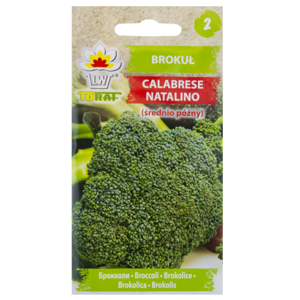 W1008 Brokkolisamen CALABRESE NATALINO FERTILE VITAMINQUELLE LEICHT ANZUBAUEN