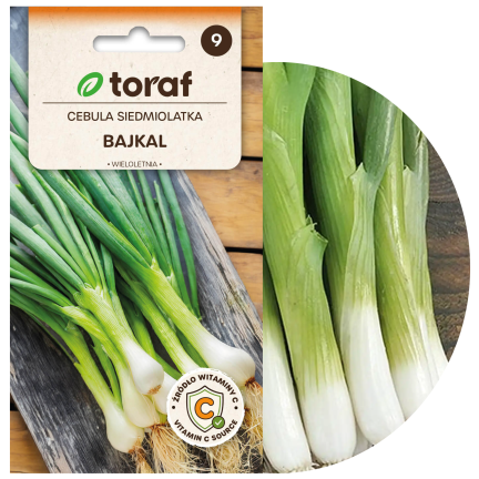 W1022 Siebenjährige Baikal-Zwiebel, schmackhafter, aromatischer Schnittlauch (Allium fistulosum L.), 3 g