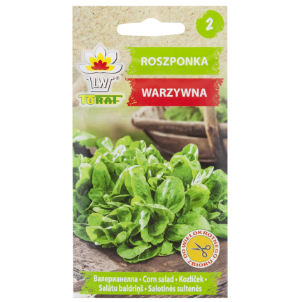 W1186 FELDSALAT GEMÜSESAMEN VITAMINREICHER KOPFSALAT 1G