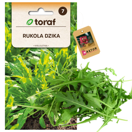 W1188 Wilde Rucola, mehrjährig, Samen, saftige, würzige Blätter, für Salate und Sandwiches, 1 g