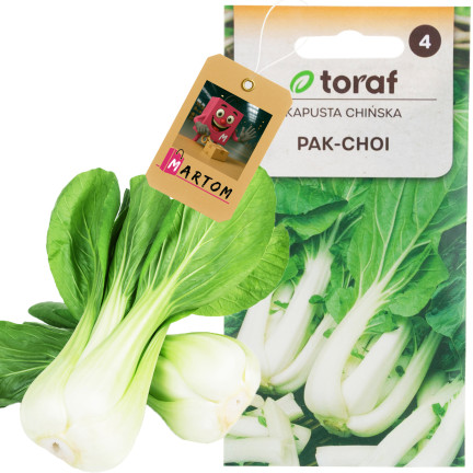 W3779 CHINESISCHER PAK CHOI KOHL 1G CHINESISCHE KOHLSAMEN TORAF