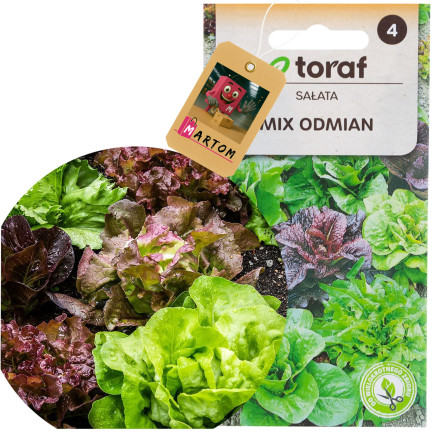 W6595 SALATMISCHUNG SORTEN SALATSAMEN KNACKIGE BUTTERMISCHUNG 1G