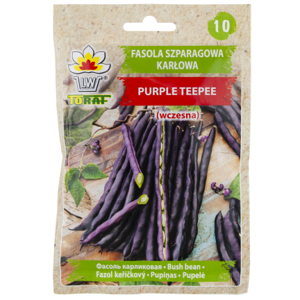 W6991 ZWERGBOHNE LILA TEEPEE GEMÜSESAMEN 30G