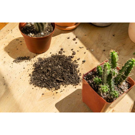 BIO10 ERDE FÜR KAKTEEN UND SUKKULENTEN ALOE VERA DURCHLÄSSIG 5L