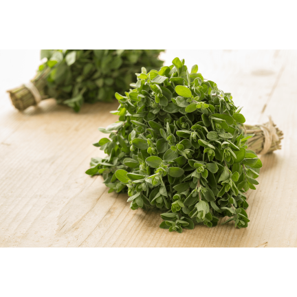 Z3018 MAJORAN KRÄUTERSAMEN AROMATISCHE BEILAGE 1G
