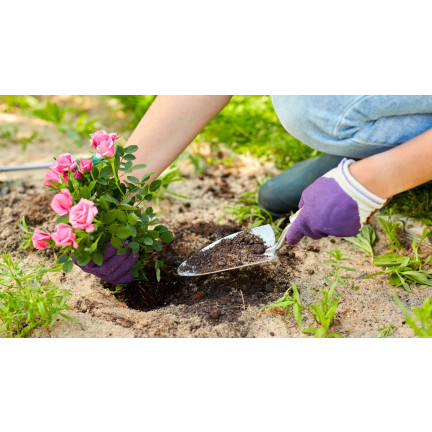 Rosenerde, Blumenerde zum Umtopfen, Spezialerde mit Perlit, Biovita 20 l