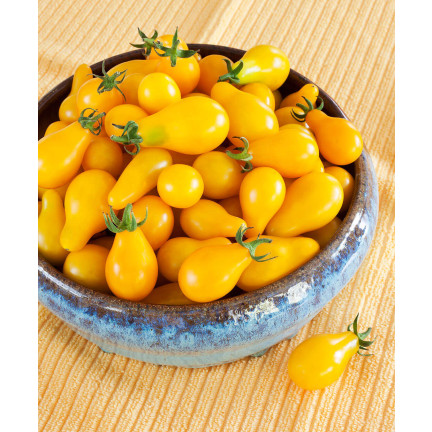 W2993 GEMAHLENE KIRSCHTOMATE HOCH PERUN 0,5G SAMEN PRODUKTIV