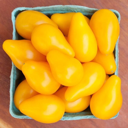 W2993 GEMAHLENE KIRSCHTOMATE HOCH PERUN 0,5G SAMEN PRODUKTIV
