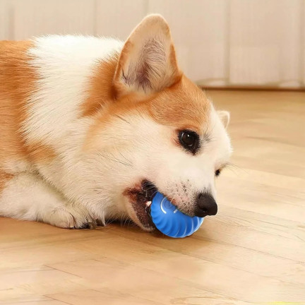 Tg80435 entkommen Ball Hund Katze führte interaktives Spielzeug für Haustier mit USB-Ladegerät