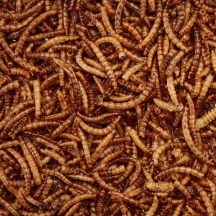 Getrocknete Mehlwurmlarven für Vögel, proteinreiches Futter, 125 g