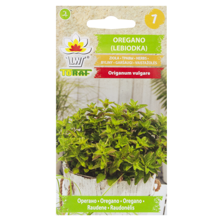 Z3026 OREGANO OREGANO KRÄUTERSAMEN AROMATISCHES KRAUT FÜR JEDE KÜCHE 0.5G