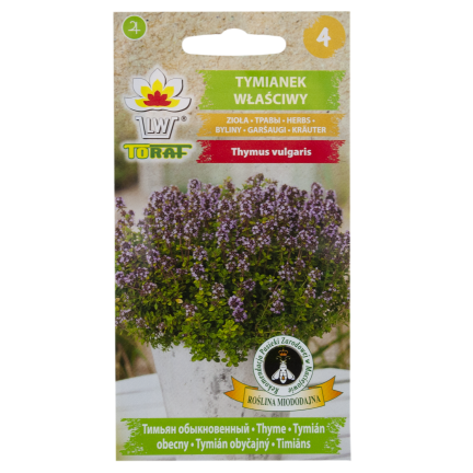 Z3035 THYMIAN ECHTES KRAUT SAMEN GEWÜRZT AROMATISCH 0,3G
