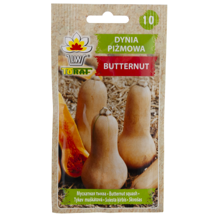 Z3036 Kürbiskerne BUTTERNUSS-GEMÜSE-SAMEN GETRÄNKE
