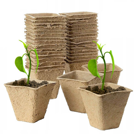 TG67328 BIO-DEGRADED PLANTING POND 5.5cm 72pcs