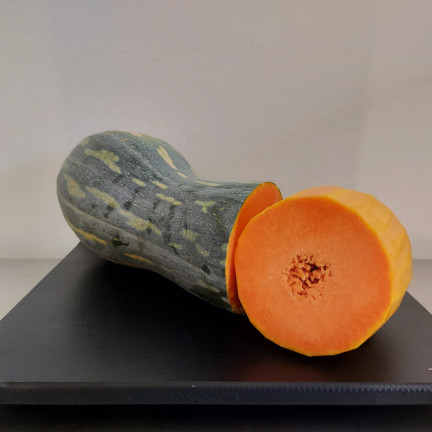 W1245 BUTTERNUSSKÜRBIS CUCURBITA MOSCHATA FEINES AROMA KÜRBISKERNE 5G